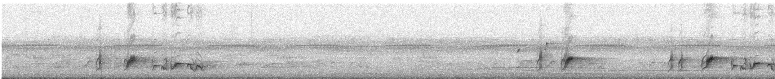 Common Bulbul (Dark-capped) - ML647163305