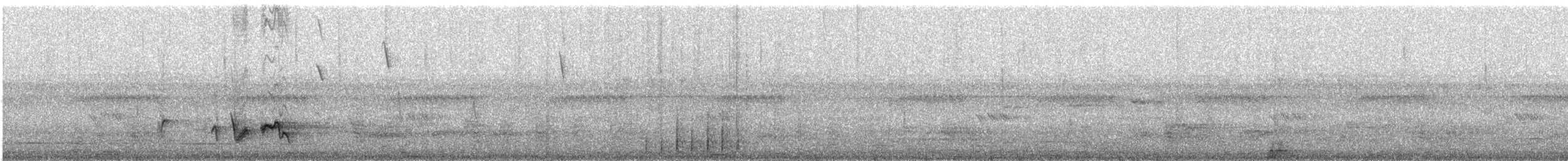 Common Bulbul (Dark-capped) - ML647163306