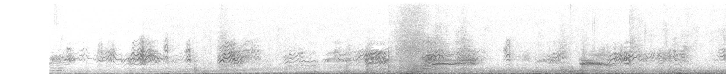 Sterna scura - ML647163375