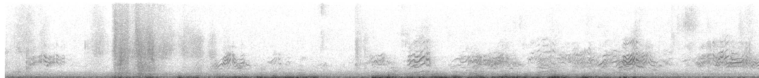 Sterna scura - ML647163376