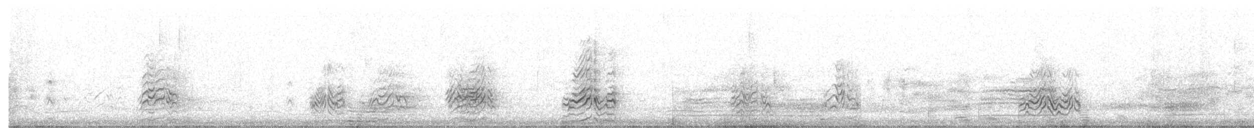 Sterna scura - ML647163377