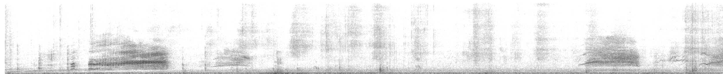 Lesser Frigatebird - ML647163386