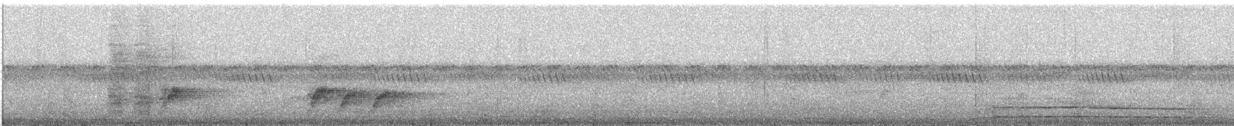 svartbukglansstær - ML647163618