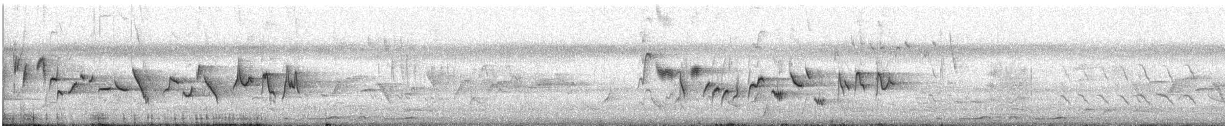 gråbrystbrillefugl - ML647164323