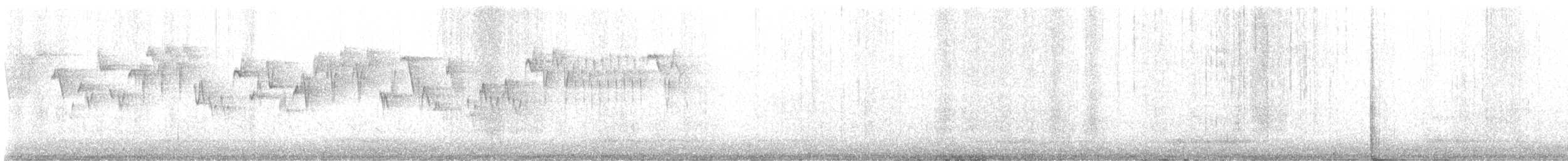 Pacific Wren - ML647164741