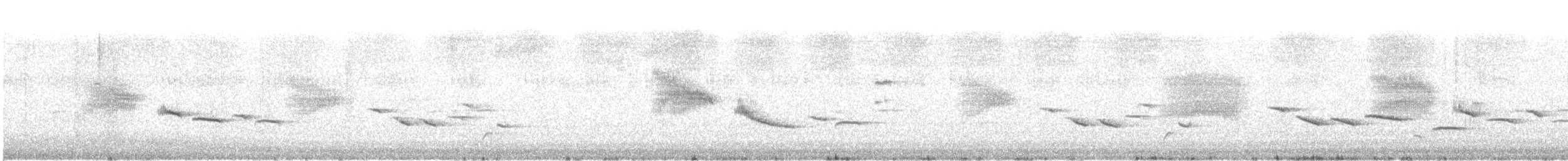 Brown Scrub-Robin - ML647164806