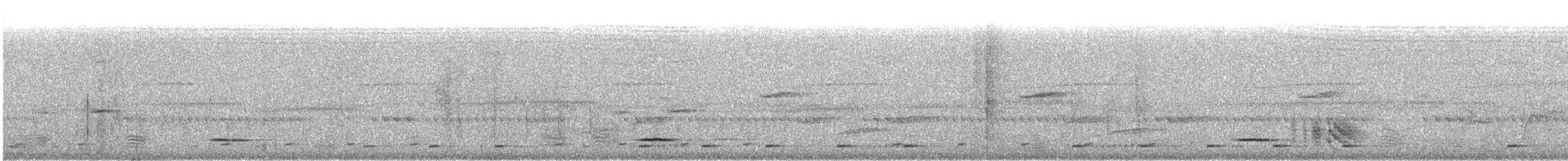 Woodwards' Batis - ML647164880