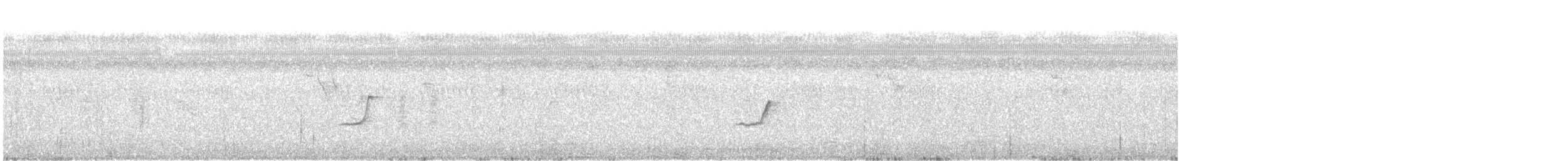 Willow Warbler - ML647164943