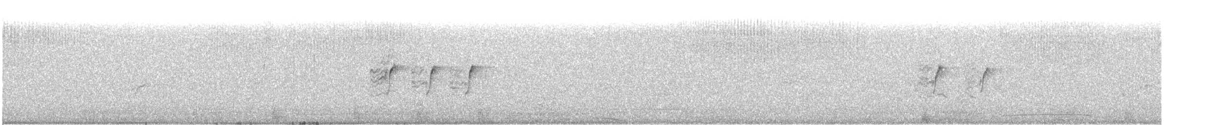 White-bellied Sunbird - ML647164984