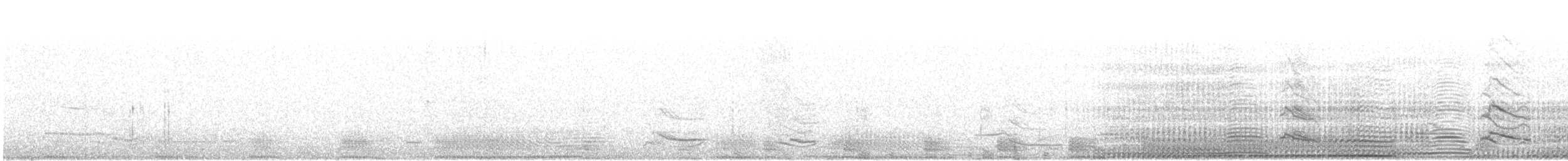 African Penguin - ML647165087