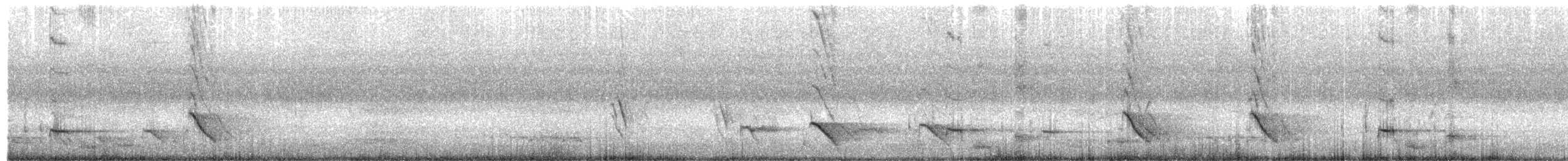 Australasian Figbird - ML647165318