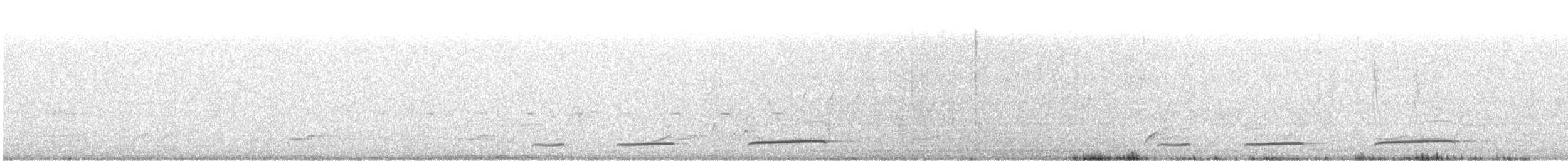 Black Cuckoo - ML647165440