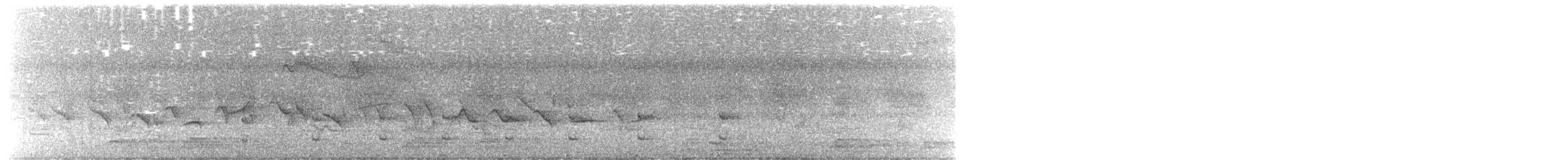 Пастушок світлогорлий - ML647165522