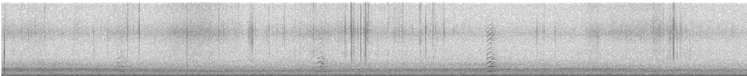 小加拿大雁 - ML647166138