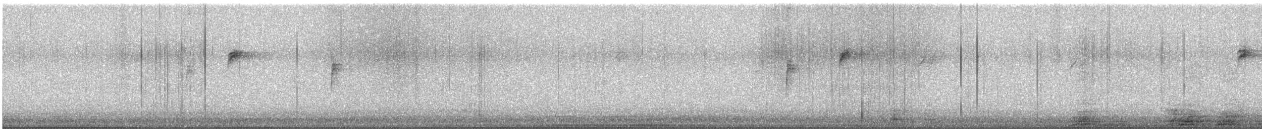 new world sparrow sp. - ML647166153