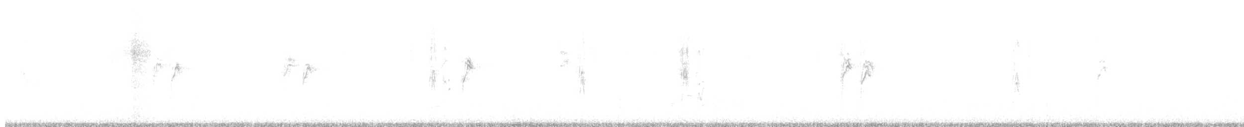 White-browed Wagtail - ML647166230