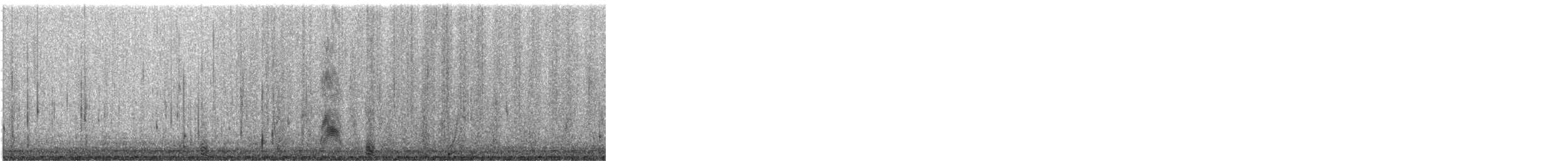 Bonaparte's Gull - ML647166338