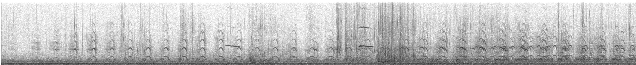 Western Gull - ML647166343