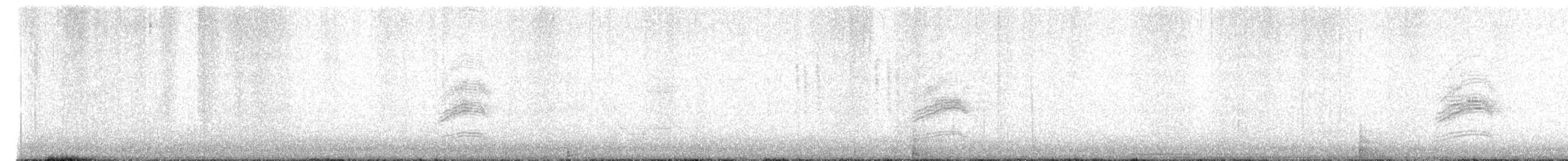 Hermit Thrush - ML647166378