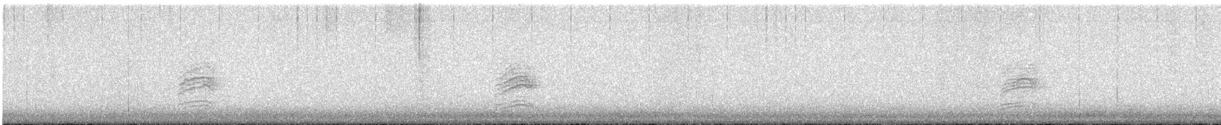 Hermit Thrush - ML647166379