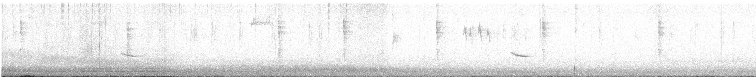 Hermit Thrush - ML647166380