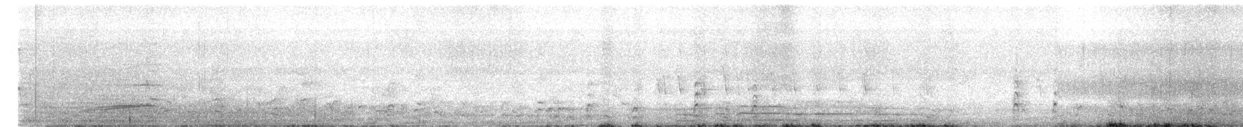 Short-billed Dowitcher - ML647166483