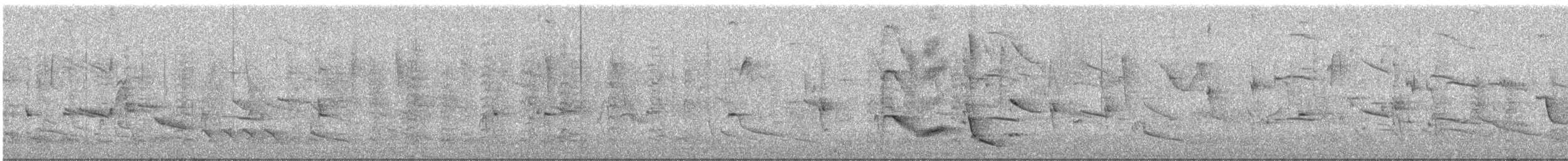 Solitary Black Cacique - ML647166499