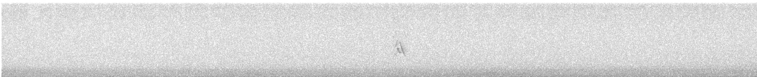 マツノキヒワ - ML647166682