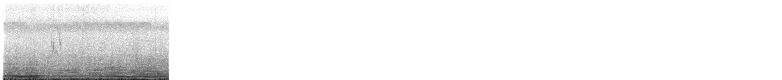 Richard's Pipit - ML647167160