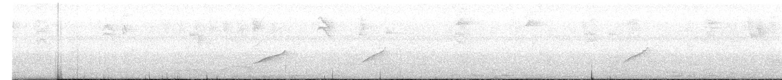 Long-tailed Tyrant - ML647167302