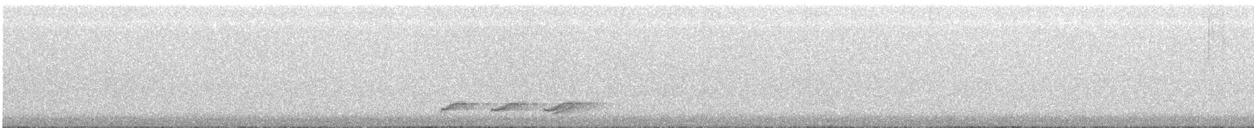 Taiwan Scimitar-Babbler - ML647167403