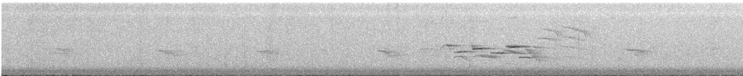 メジロチメドリ - ML647167463