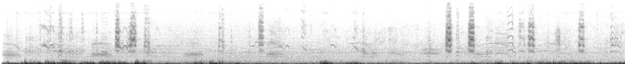 ベンガルアジサシ - ML647167493