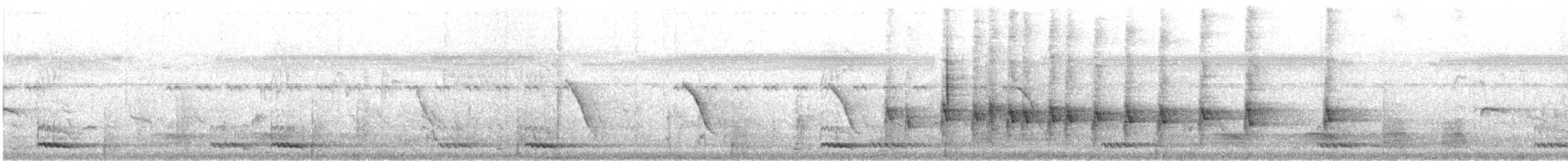 White-cheeked Barbet - ML647168509