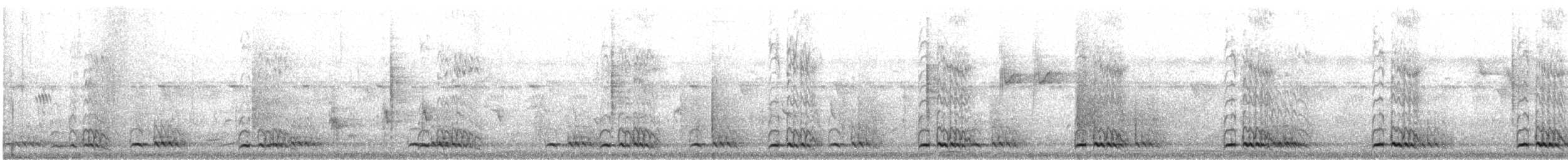 White-cheeked Barbet - ML647168628