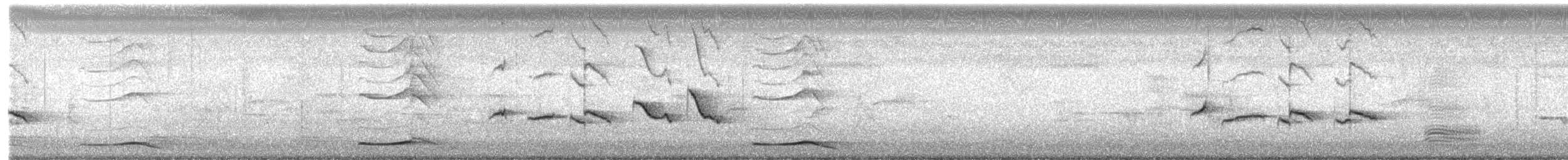 Çinhindi Alaca Bülbülü - ML647168682