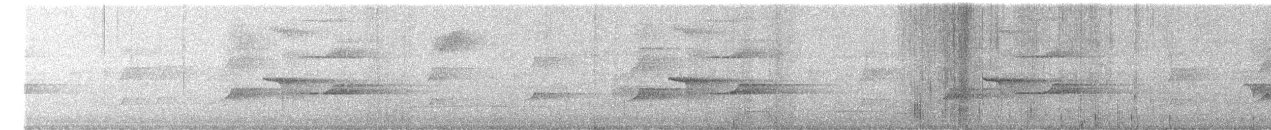 Ratchet-tailed Treepie - ML647168694