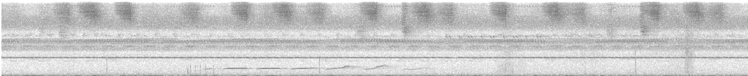 Oriental Bay-Owl - ML647168725