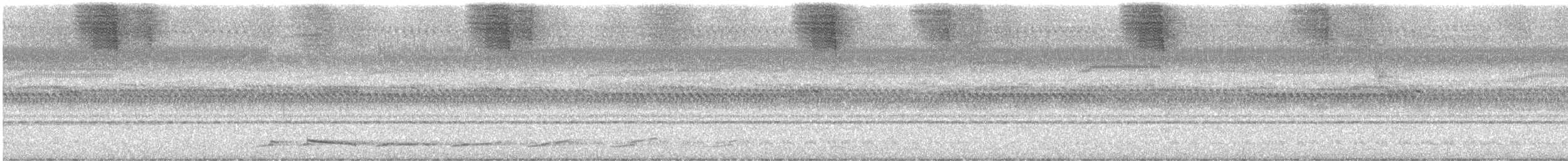 Oriental Bay-Owl - ML647168728