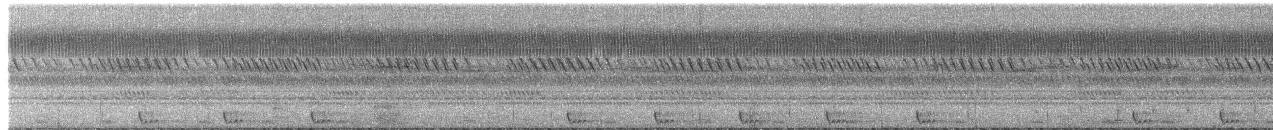 Large-tailed Nightjar - ML647168737