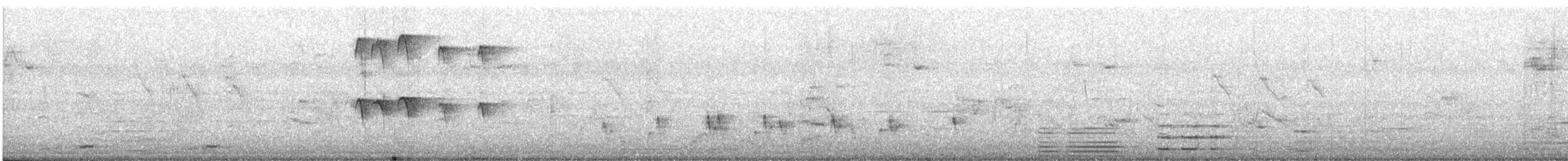 White-breasted Waterhen - ML647168905