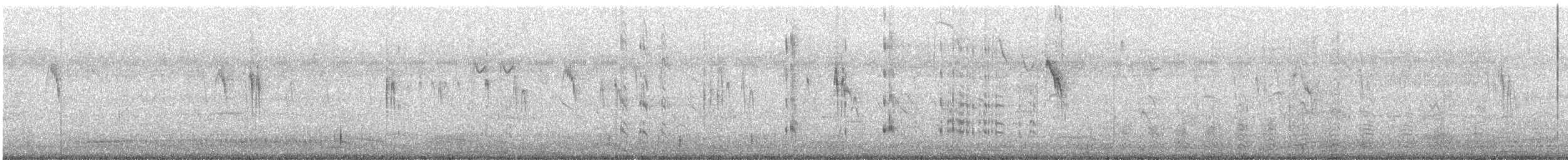 Parrocchetto dal collare - ML647168907