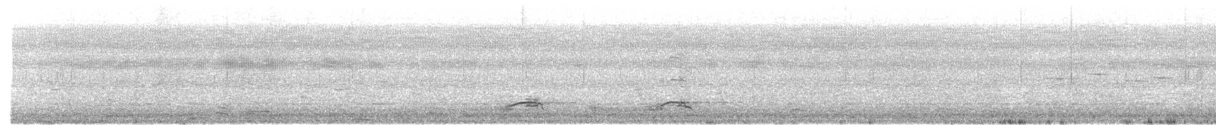 Far Eastern Curlew - ML647169011