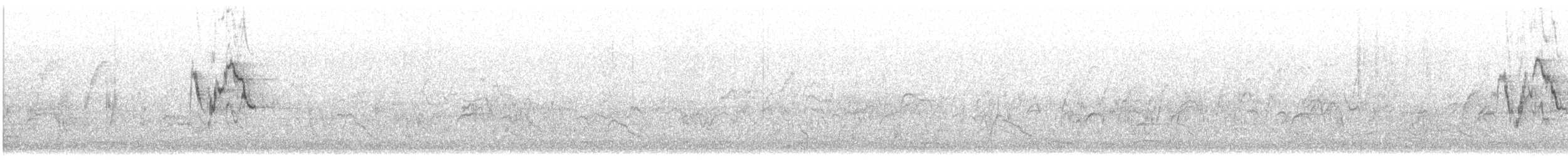 White Wagtail (Black-backed) - ML647169077