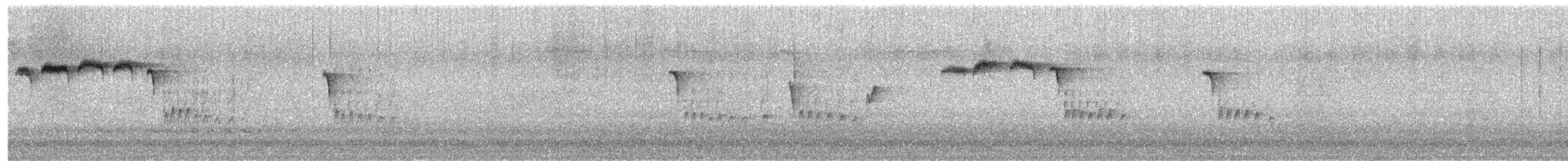 toppmeis - ML647169665