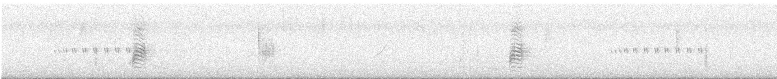 askesvalestær - ML647170022