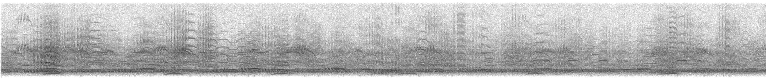 hvitnakketrane - ML647170126