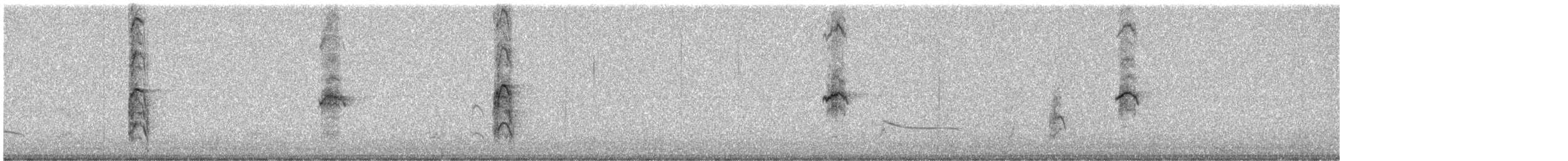 gulehavsmåke - ML647170181