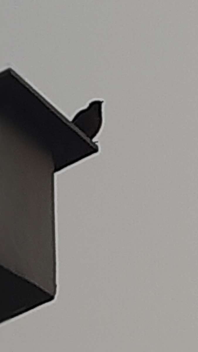 Common Myna - ML647170371