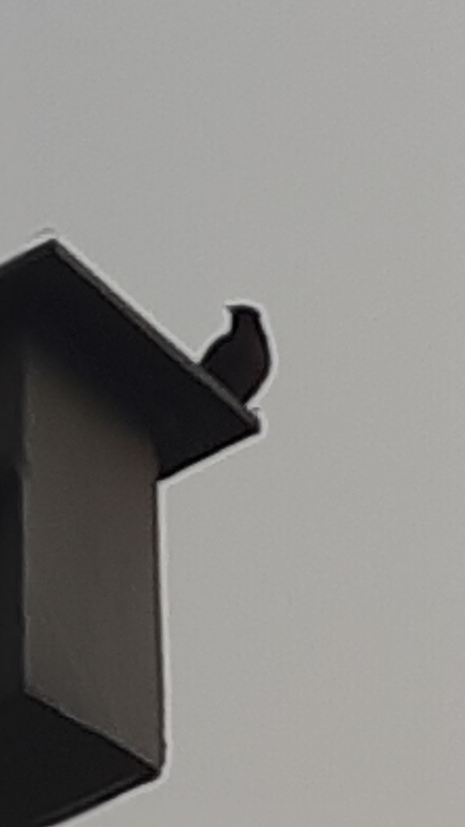 Common Myna - ML647170374